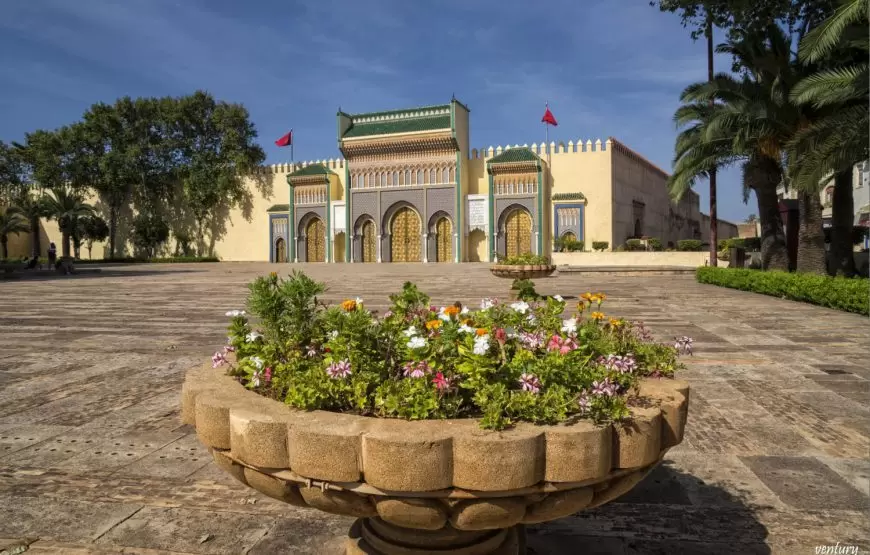 Guided tour of Fez