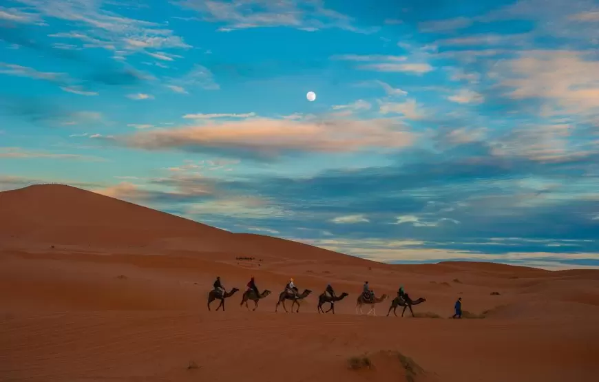 Camel rides in Erg Chebbi