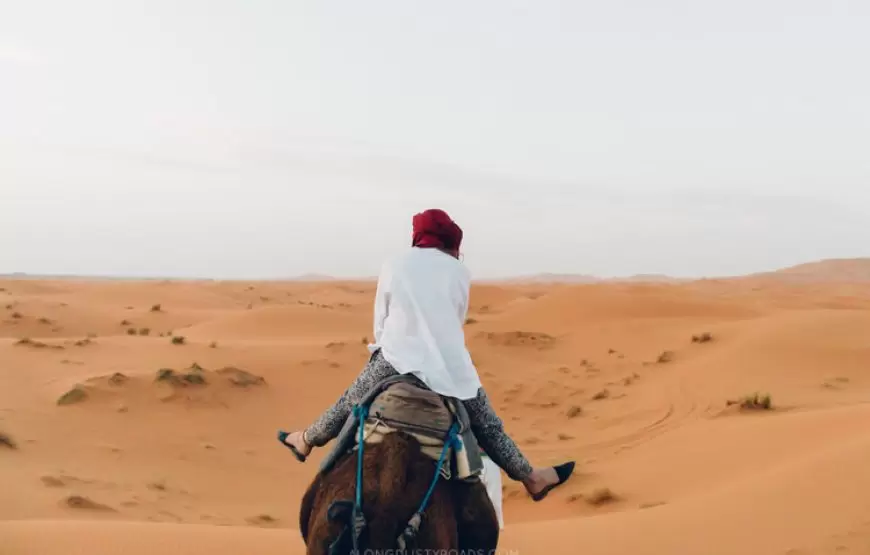 Camel rides in Erg Chebbi