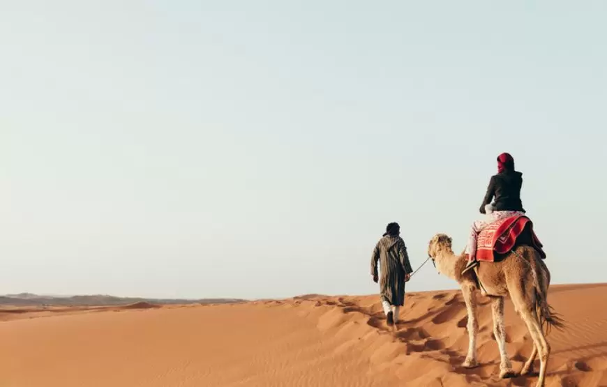 Camel rides in Erg Chebbi