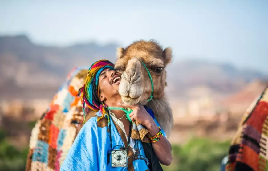 Camel rides in Erg Chebbi