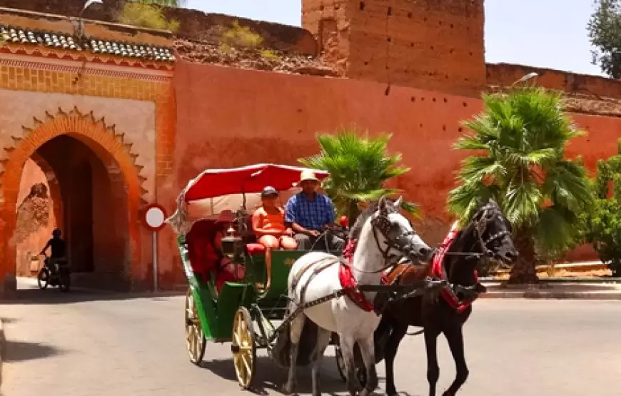 Guided tour of Marrakech