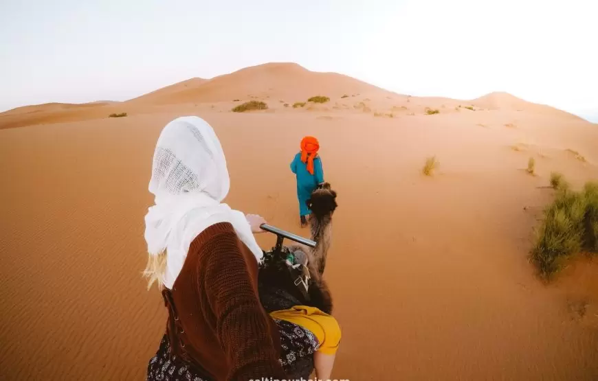 Camel rides in Erg Chebbi