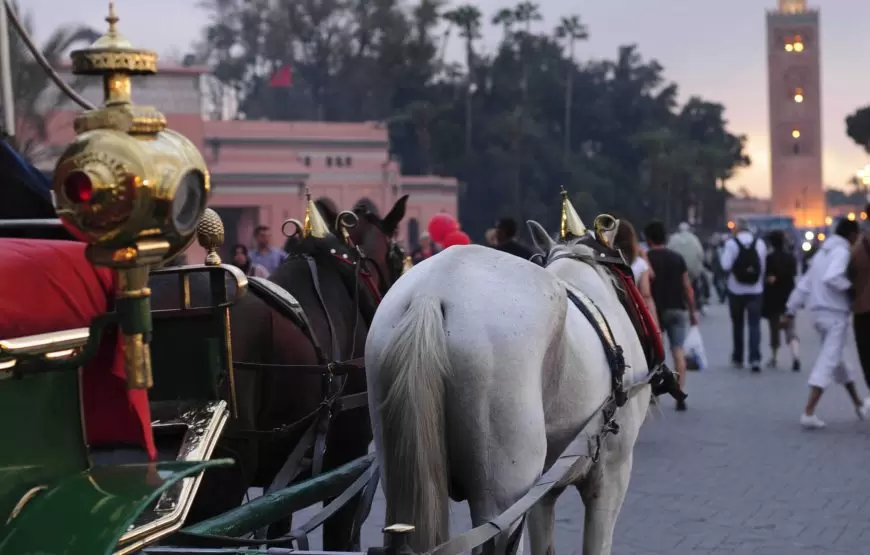 Guided tour of Marrakech