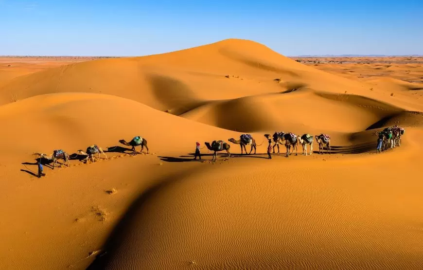 Camel rides in Erg Chebbi