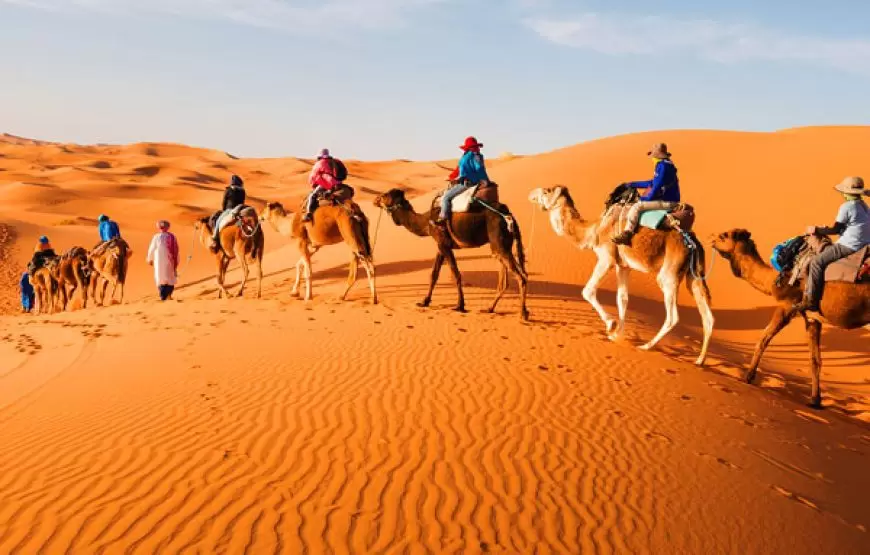 Camel rides in Erg Chebbi