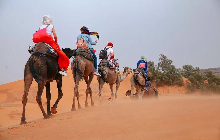 15 days Luxury tour from Marrakech