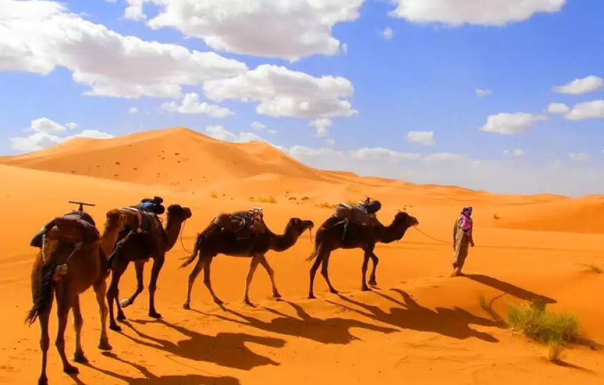 Camel rides in Erg Chebbi