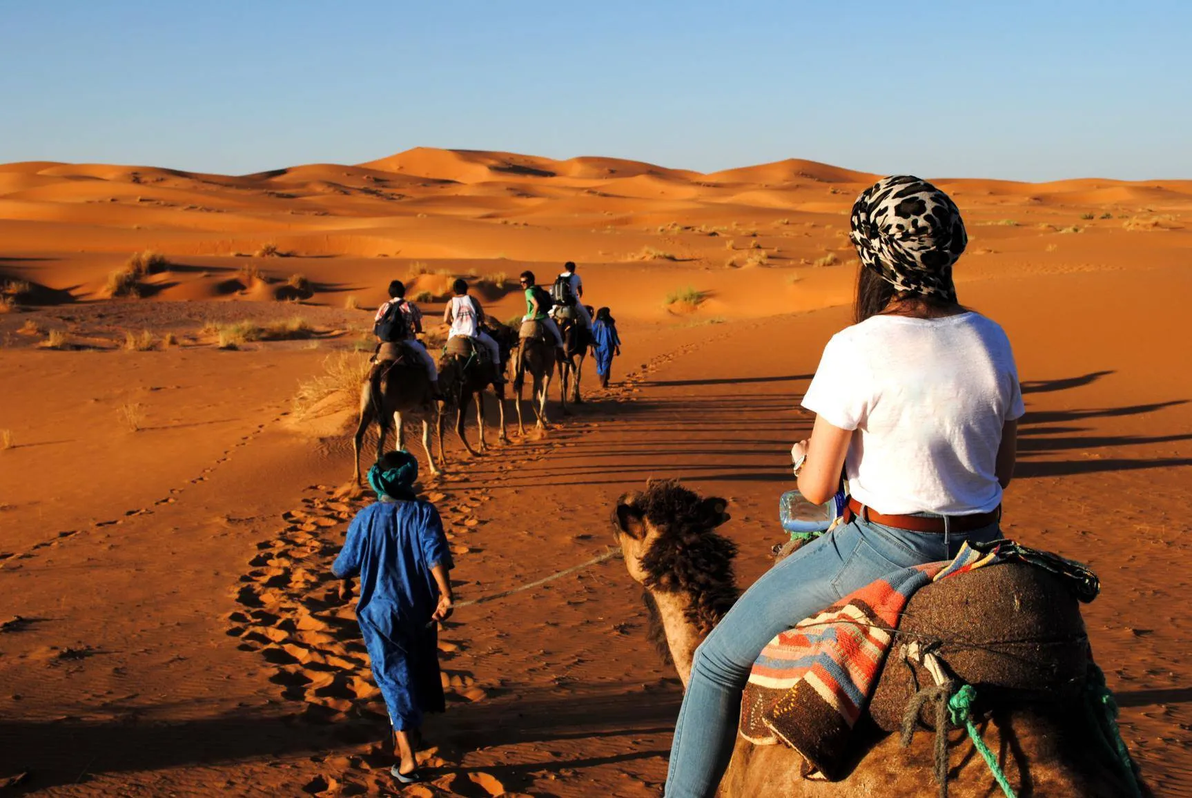 Morocco Luxury Tours