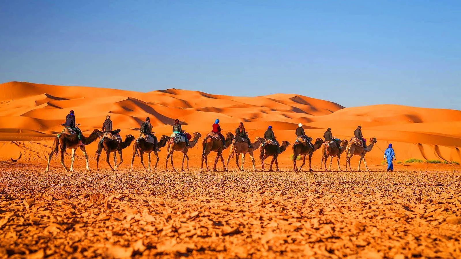 Morocco Luxury Tours