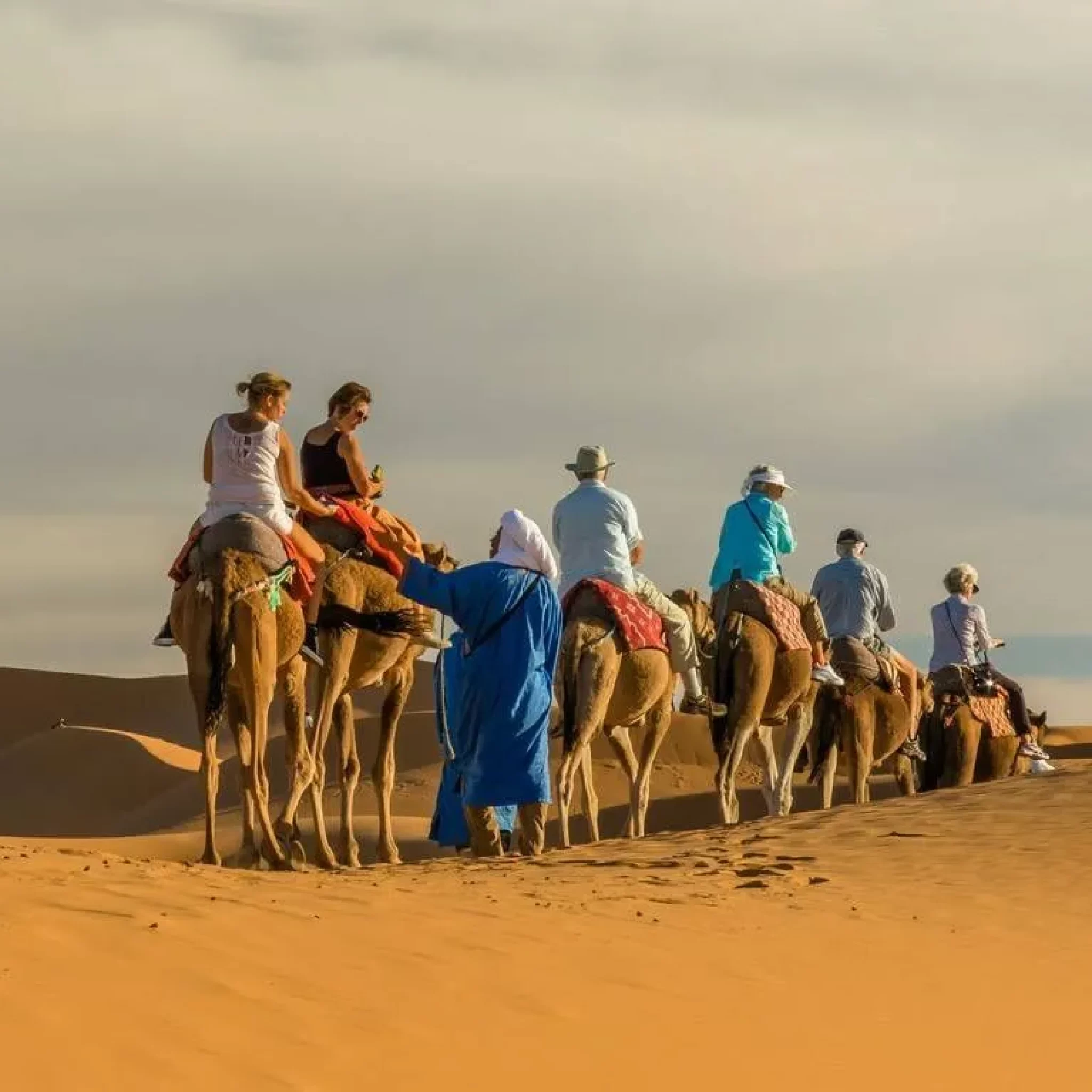 Camel Trek in Moroccan Sahara Desert