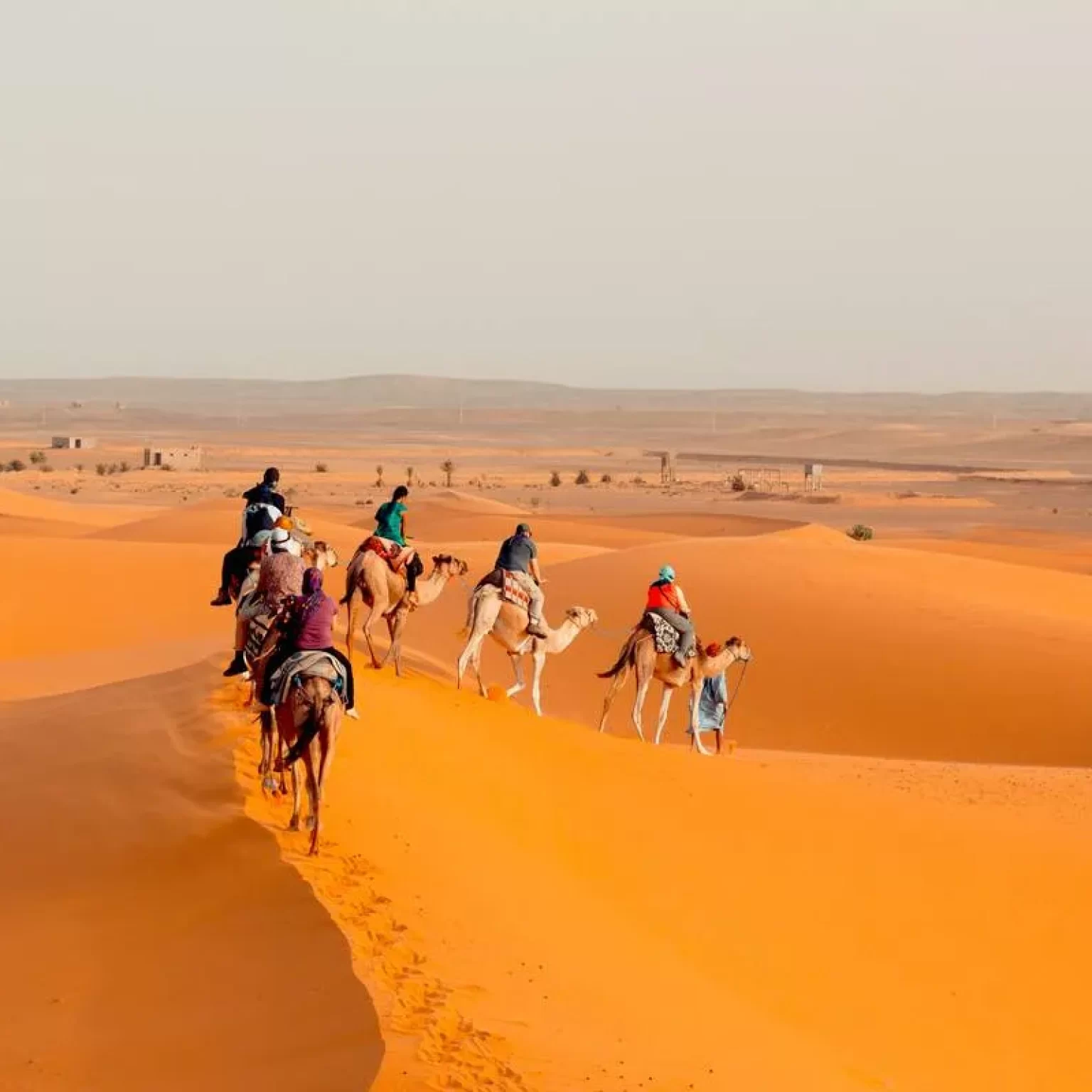 A group of people riding camels across the vast, sandy expanse of the Sahara Desert under a clear blue sky: Camel rides in Erg Chebbi